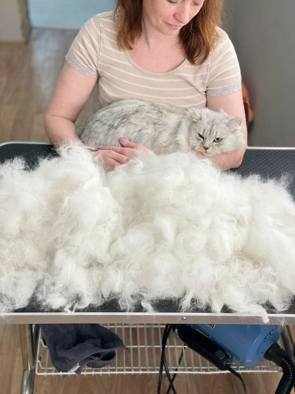 Easy Groom — работы и услуги — фото 5