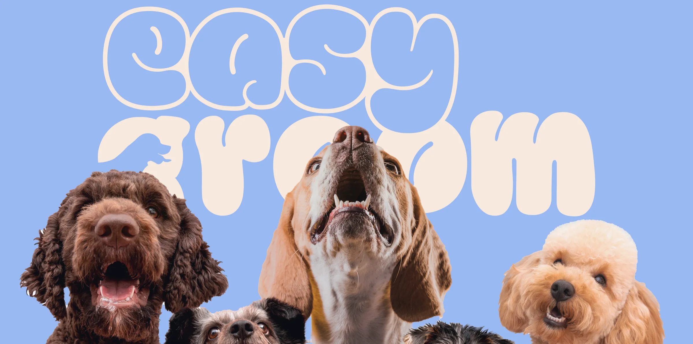 Easy Groom — груминг-салон в Воронеже: пять собак на голубом фоне