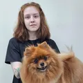 Фото мастера Полина